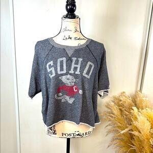 Champion x Todd Sydney Gray SOHO Graphic Crop Sweatshirt size Large